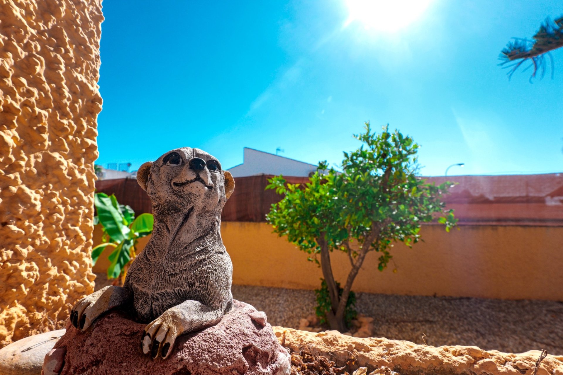 Resale - Villa - Torrevieja - La Siesta