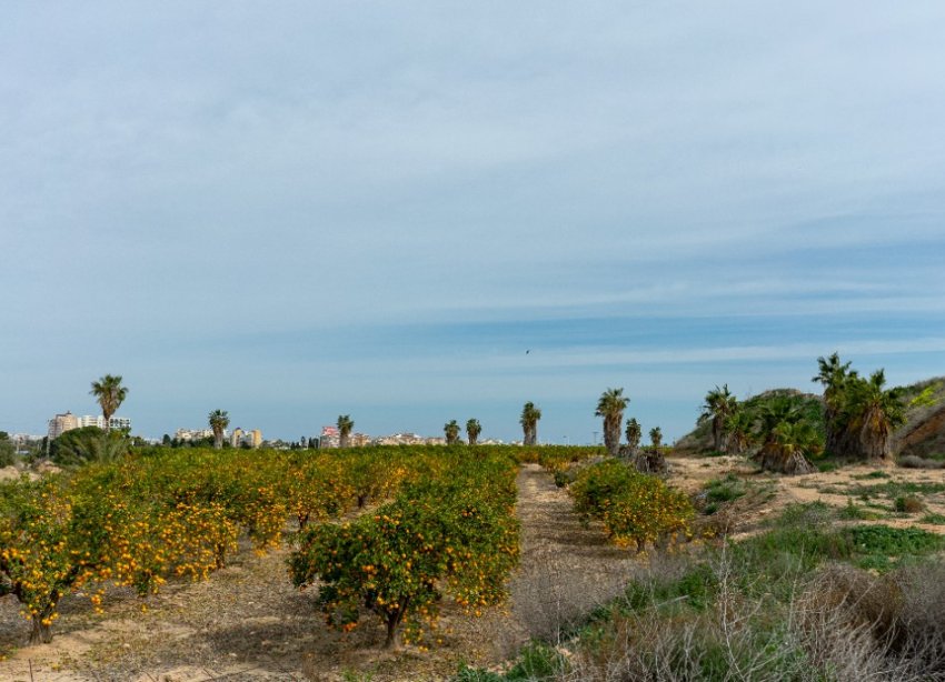 Resale - Villa - Torrevieja - Los Altos