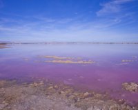 Resale - Villa - Torrevieja - Los Altos