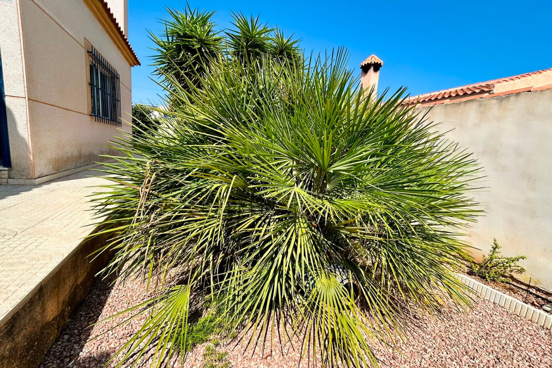 Resale - - VILLA - Torrevieja - Urbanización San Luis