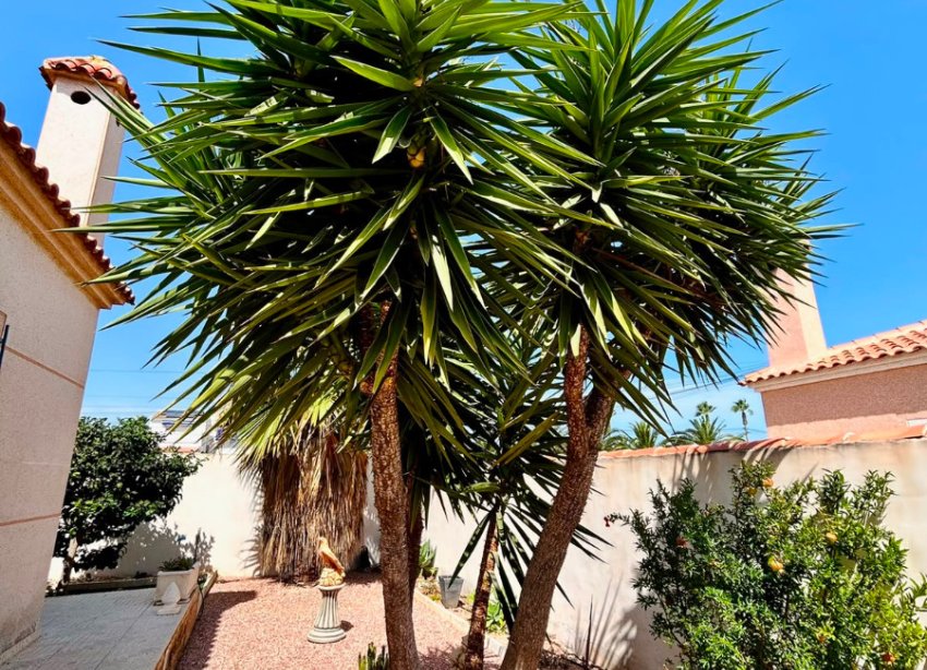 Resale - - VILLA - Torrevieja - Urbanización San Luis
