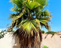 Resale - - VILLA - Torrevieja - Urbanización San Luis