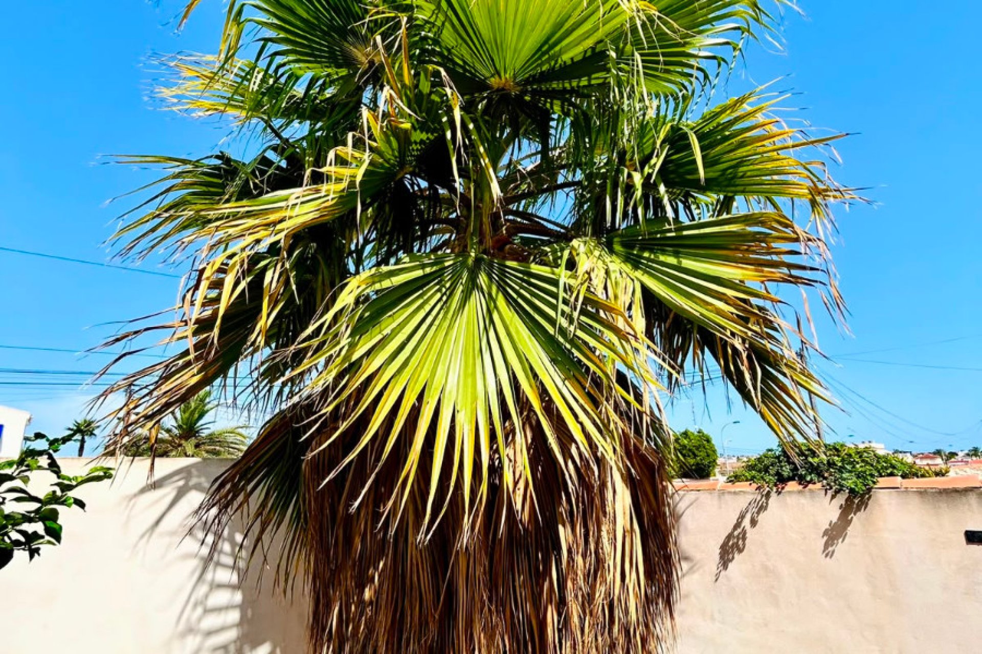Resale - - VILLA - Torrevieja - Urbanización San Luis