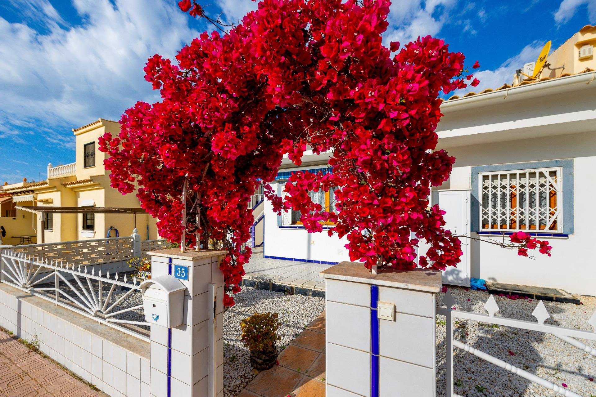 Reventa - Adosado - Orihuela Costa - La Florida