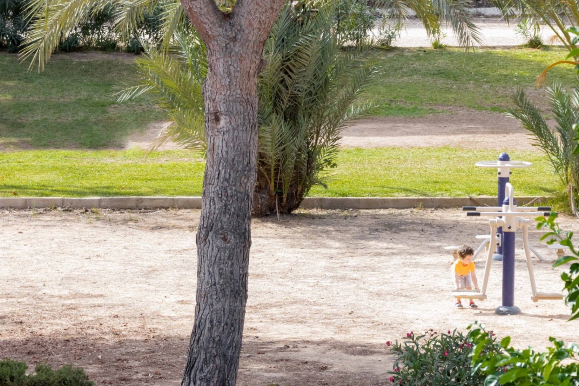 Reventa - Adosado - Orihuela Costa - La Zenia