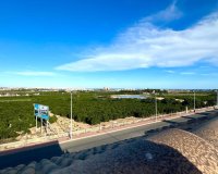 Reventa - Adosado - Torrevieja - La siesta