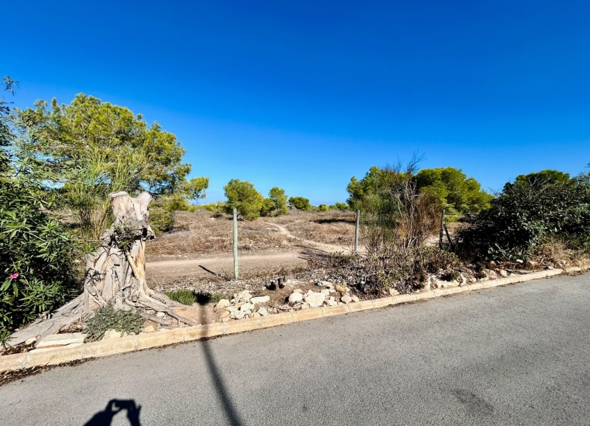 Reventa - Adosado - Torrevieja - La Siesta