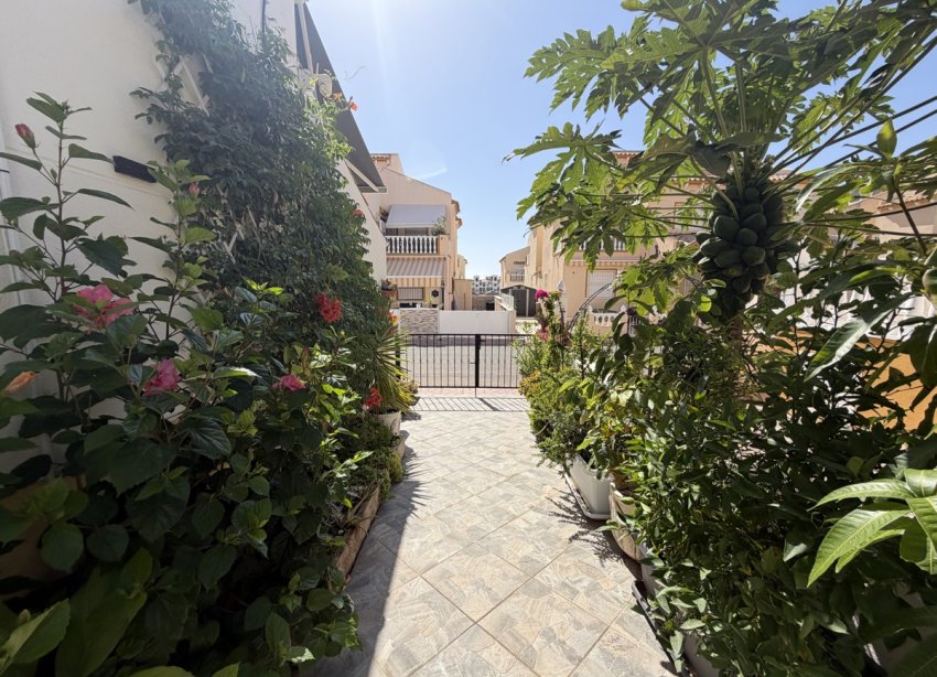 Reventa - Adosado - Torrevieja - Los Altos