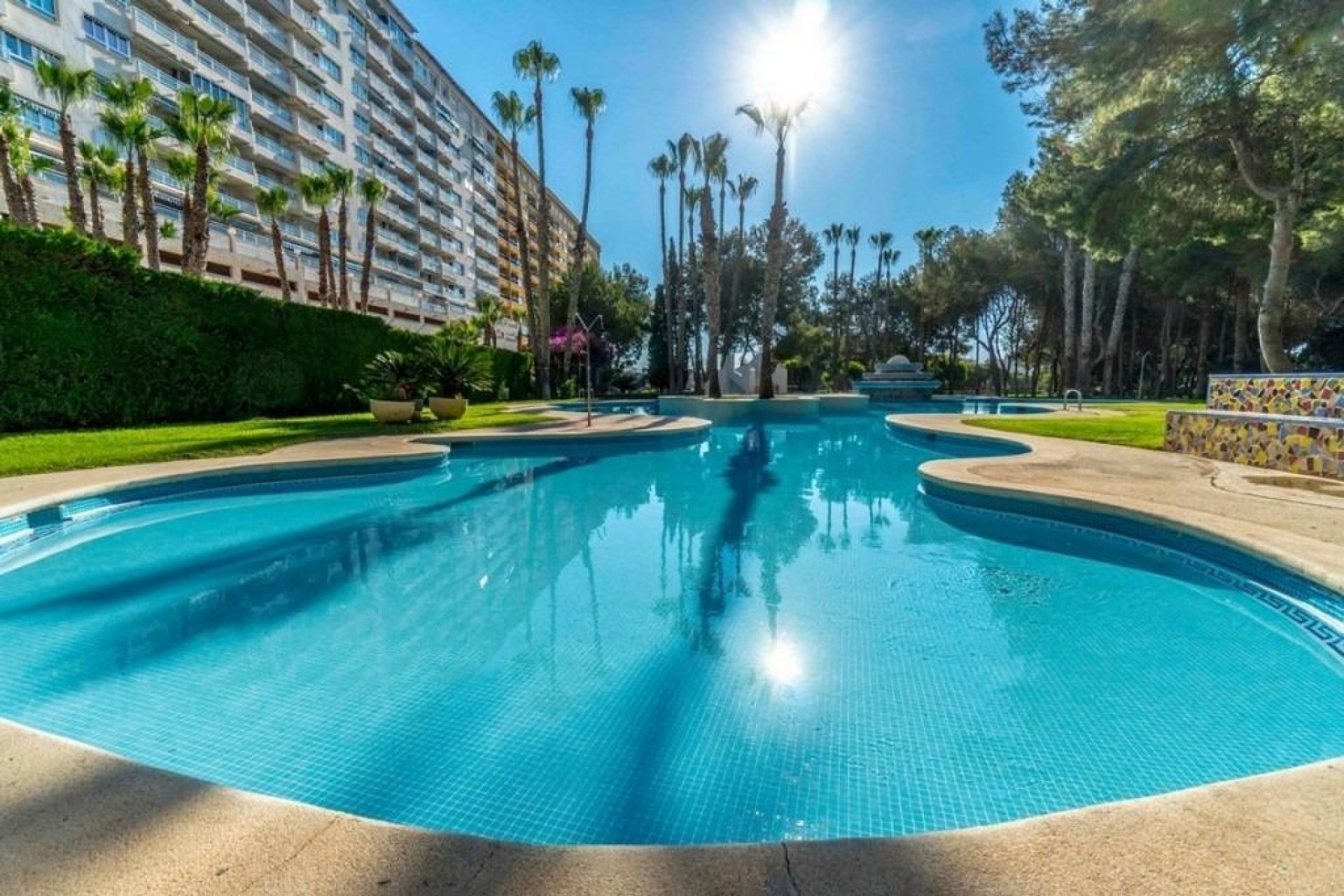 Reventa - Apartamento - Dehesa de campoamor - Altos de campoamor