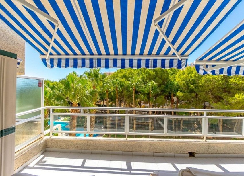 Reventa - Apartamento - Dehesa de campoamor - Altos de campoamor