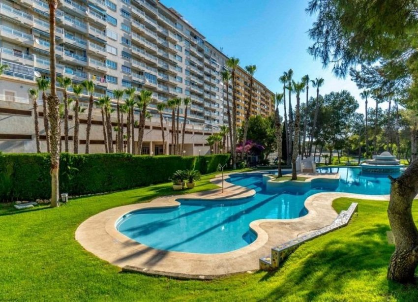 Reventa - Apartamento - Dehesa de campoamor - Altos de campoamor