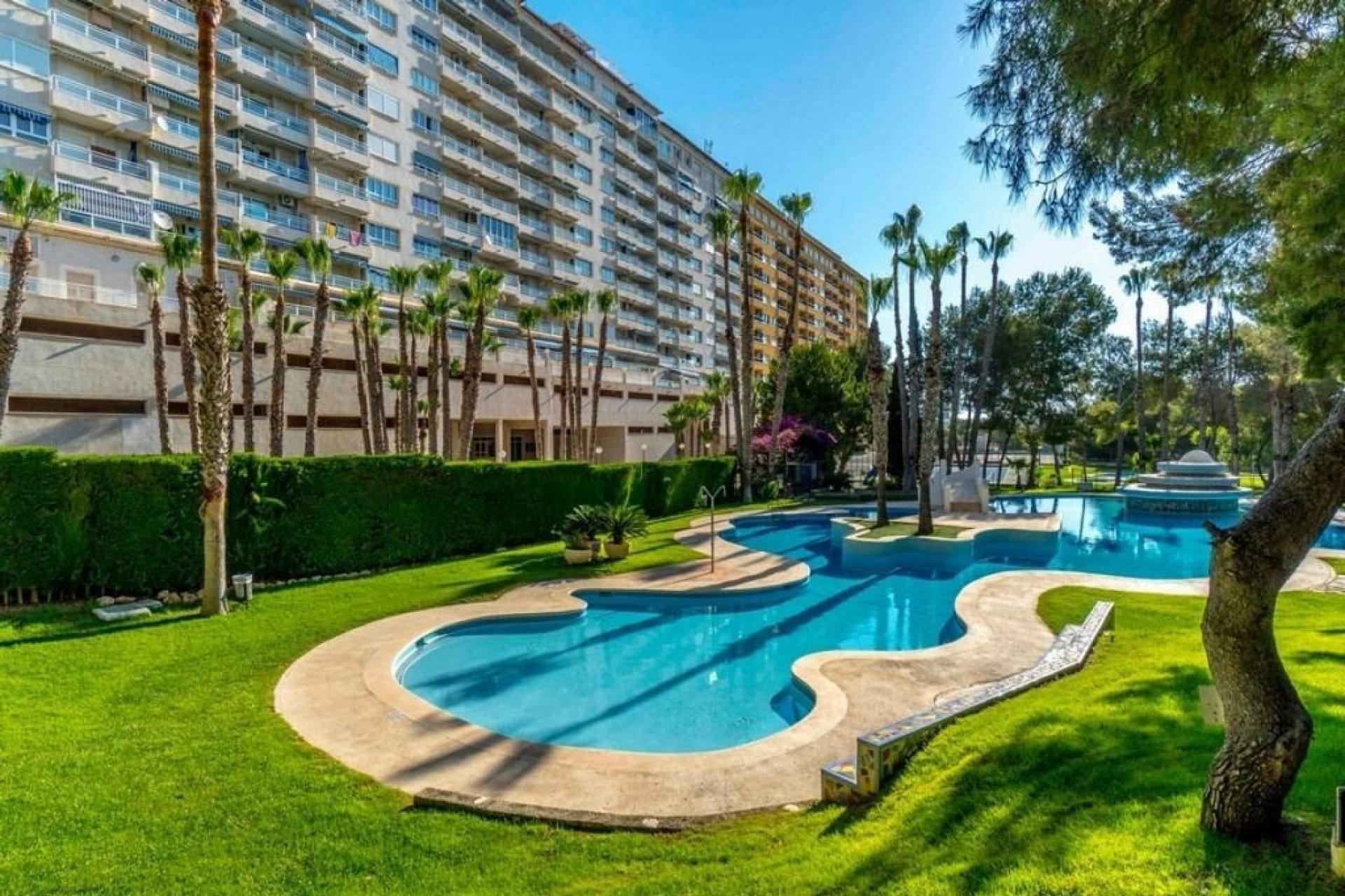 Reventa - Apartamento - Dehesa de campoamor - Altos de campoamor