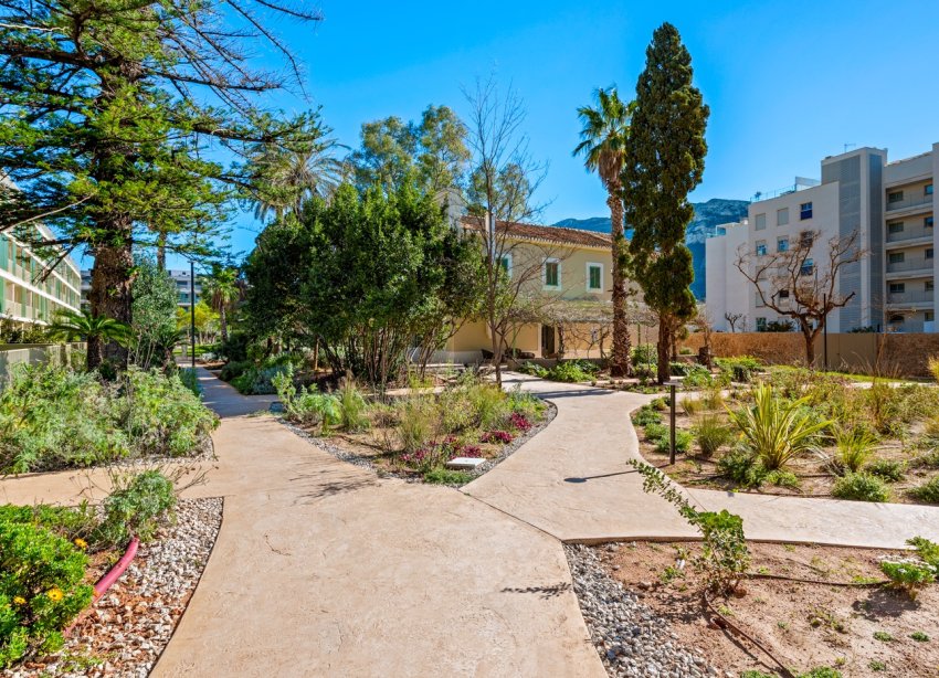 Reventa - Apartamento - Denia - Puerto