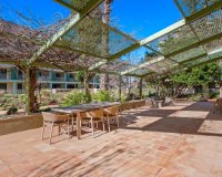 Reventa - Apartamento - Denia - Puerto