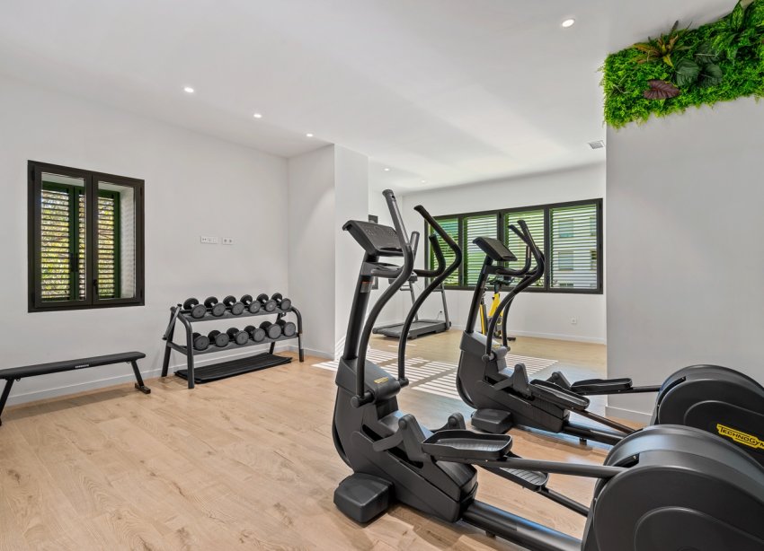 Reventa - Apartamento - Denia - Puerto