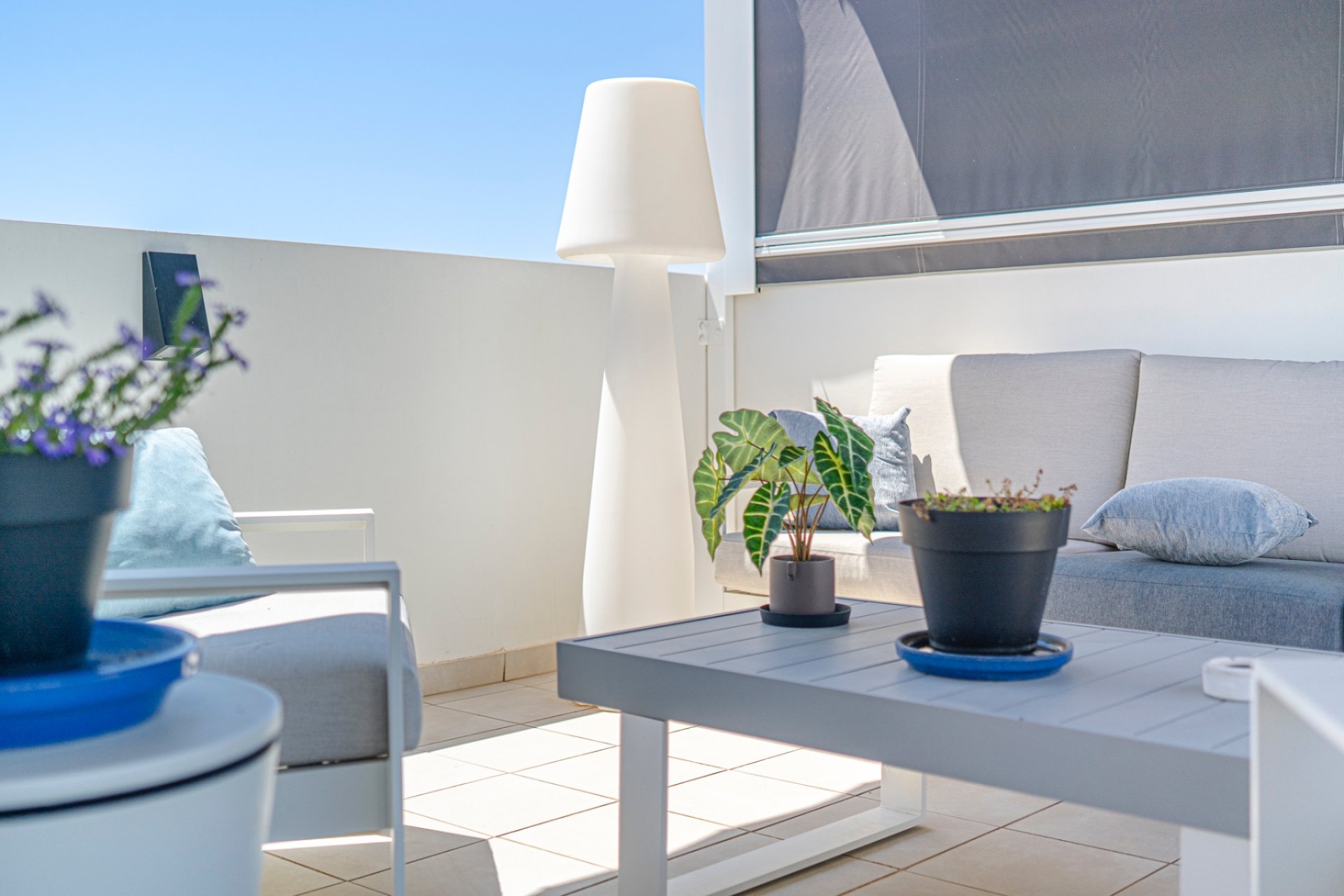 Reventa - Apartamento / Dúplex - Ciudad Quesada