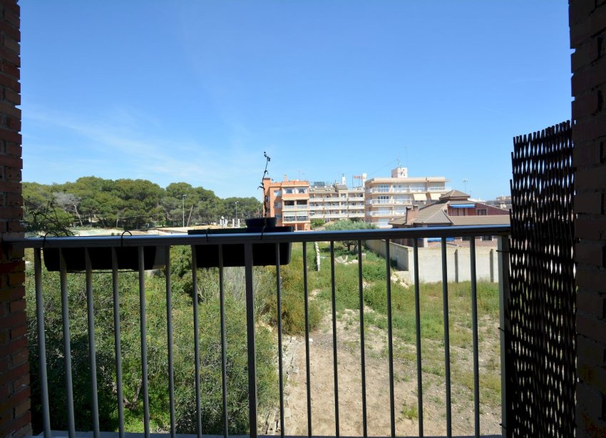 Reventa - Apartamento / Dúplex - Guardamar del Segura - CERVANTES-PLAYA