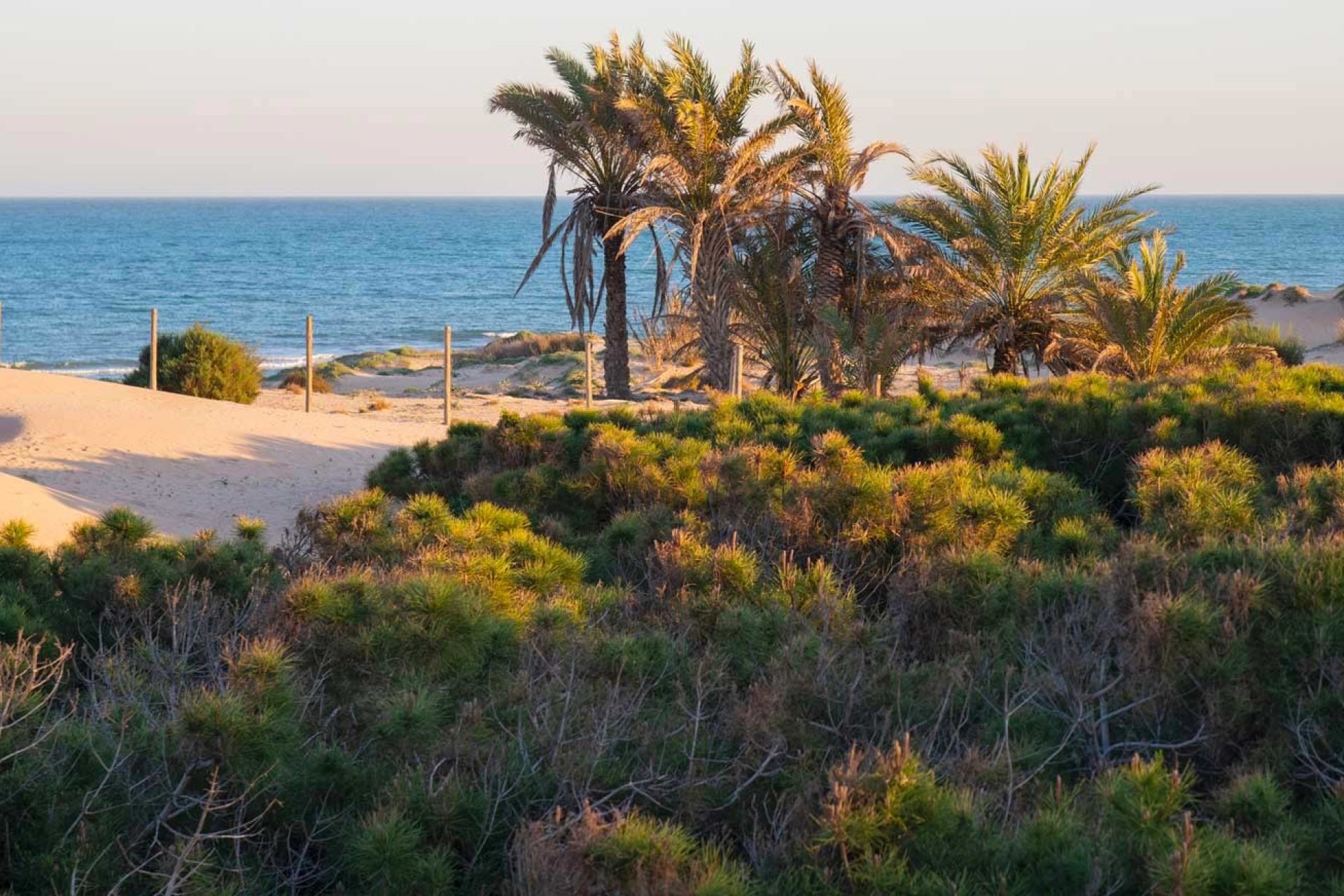 Reventa - Apartamento / Dúplex - Guardamar del Segura - El Raso