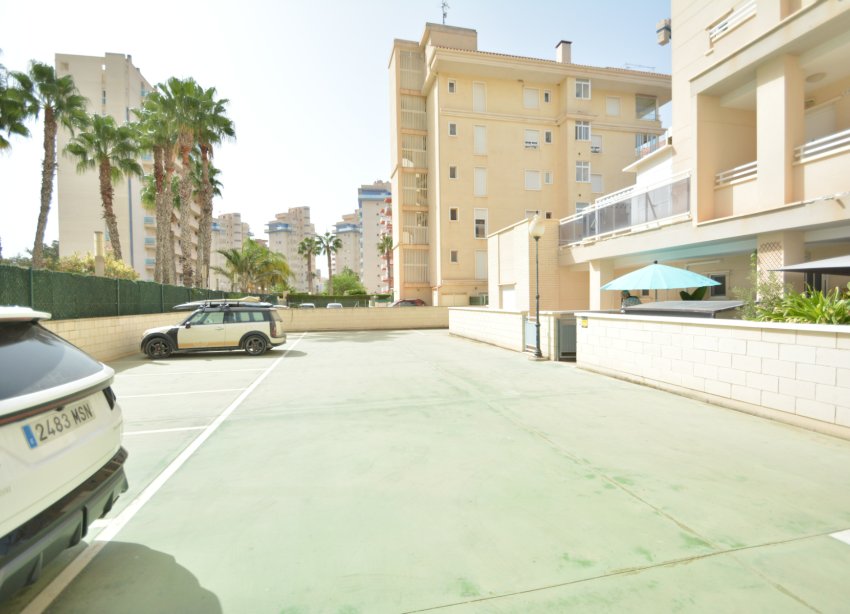 Reventa - Apartamento / Dúplex - Guardamar del Segura - SUP 7