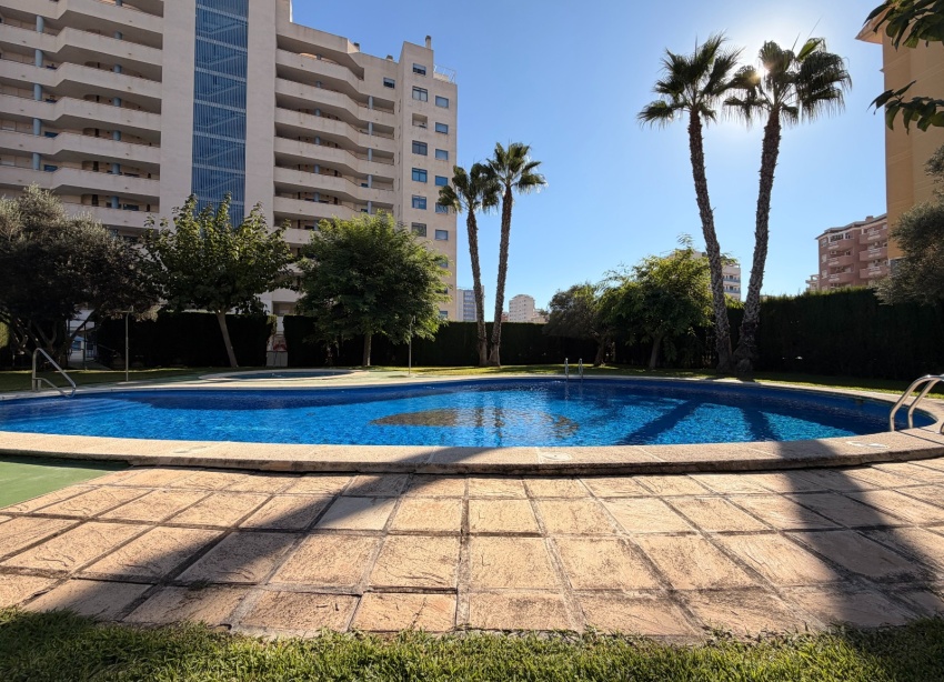 Reventa - Apartamento / Dúplex - Guardamar del Segura - SUP 7