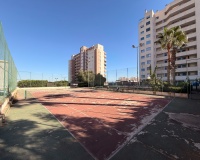 Reventa - Apartamento / Dúplex - Guardamar del Segura - SUP 7