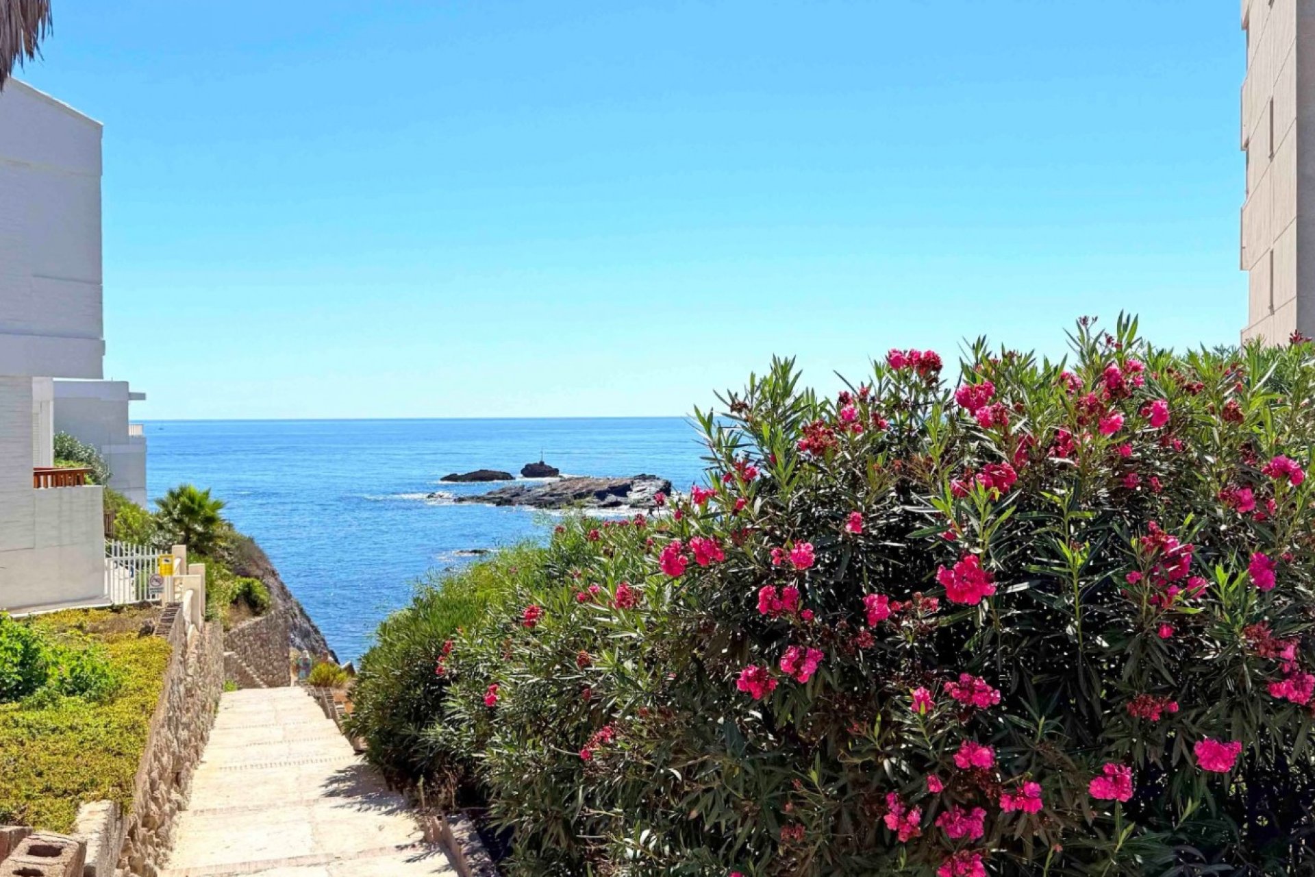 Reventa - Apartamento / Dúplex - Orihuela Costa - Cabo de Palos