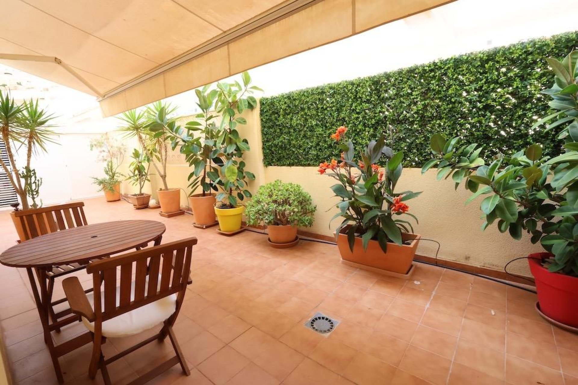 Reventa - Apartamento / Dúplex - Orihuela Costa - Campoamor