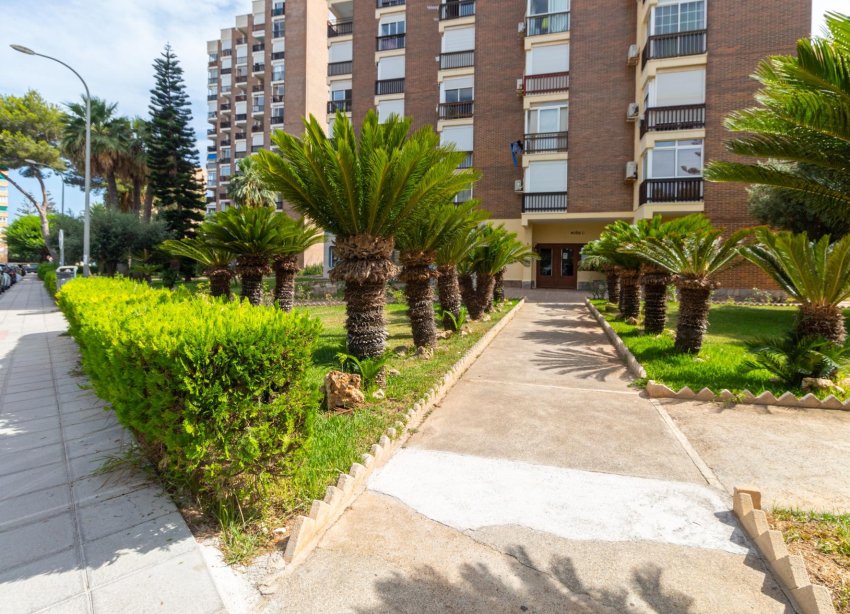 Reventa - Apartamento / Dúplex - Orihuela Costa - Campoamor