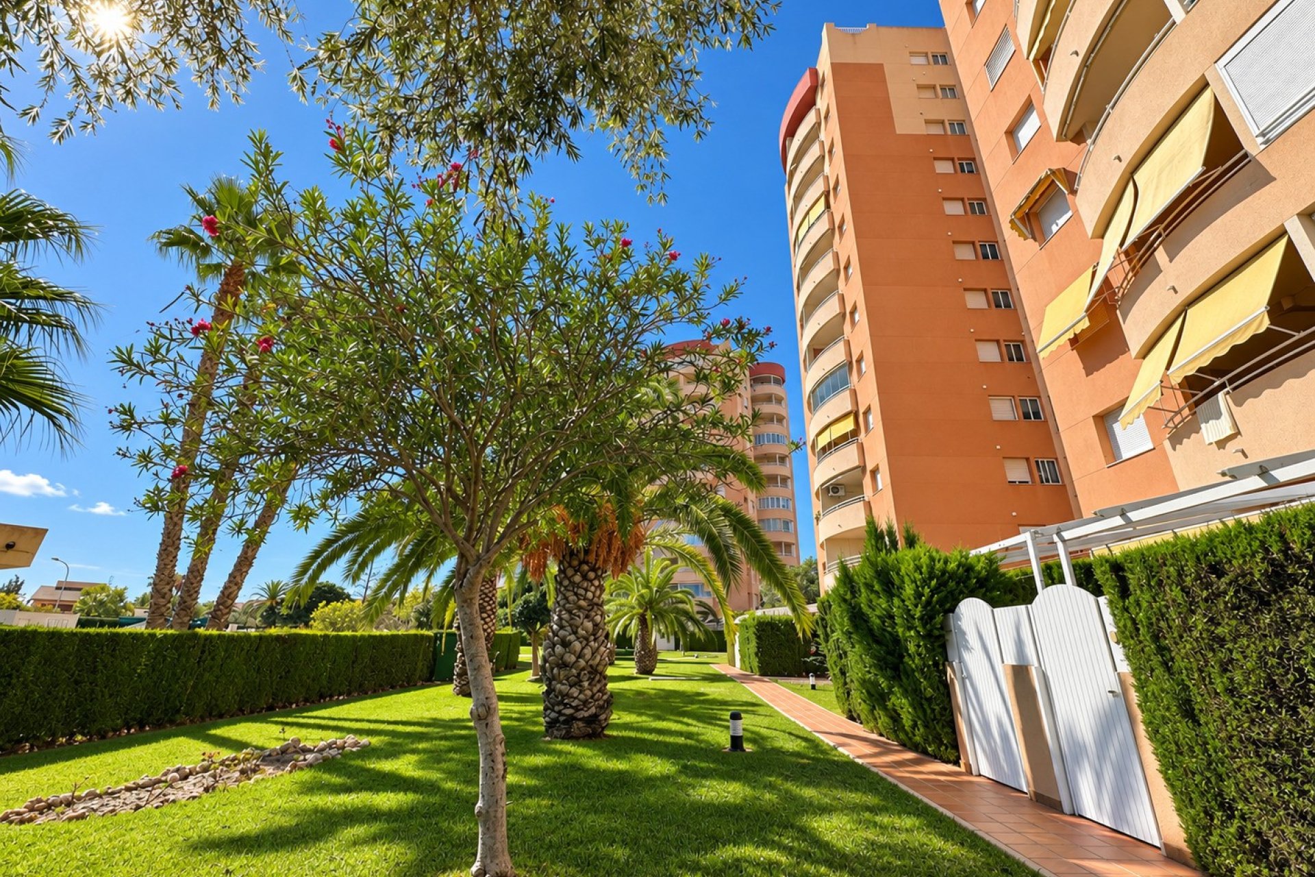 Reventa - Apartamento / Dúplex - Orihuela Costa - Campoamor