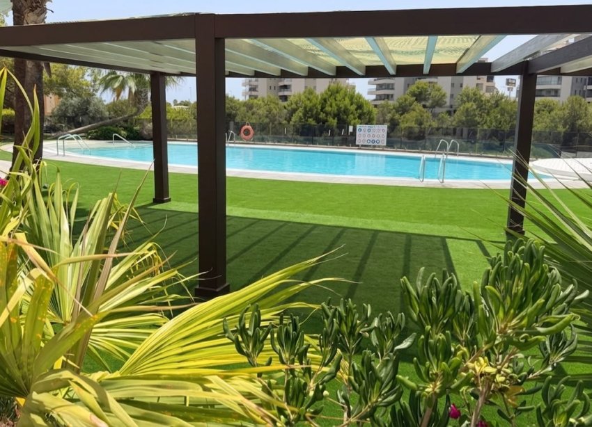 Reventa - Apartamento / Dúplex - Orihuela Costa - La Zenia
