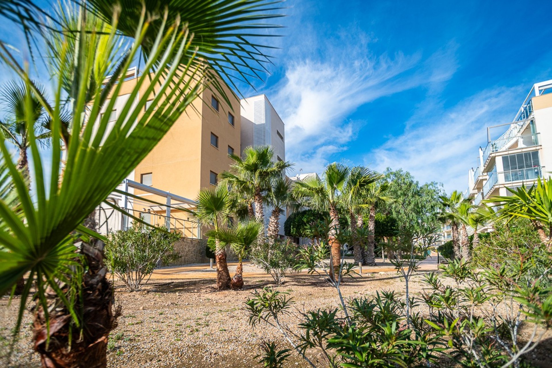 Reventa - Apartamento / Dúplex - Orihuela Costa - Los Dolses