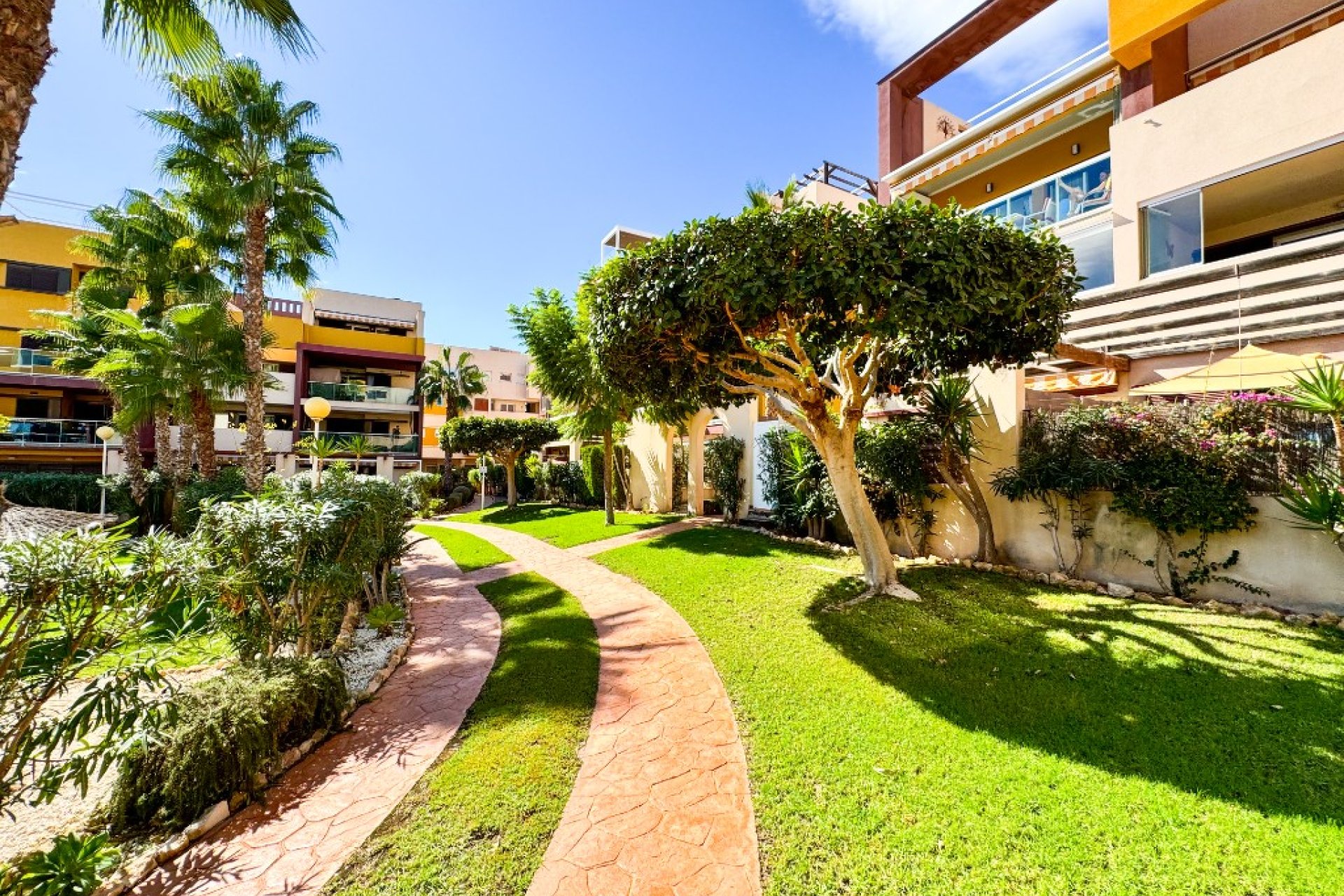 Reventa - Apartamento / Dúplex - Orihuela Costa - Playa Flamenca