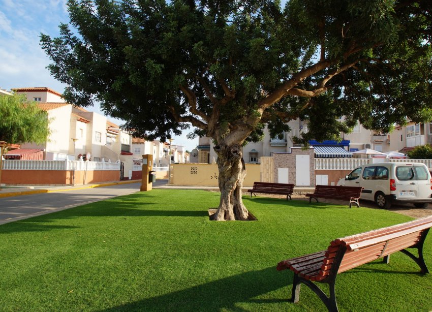 Reventa - Apartamento / Dúplex - Orihuela Costa - Playa Flamenca