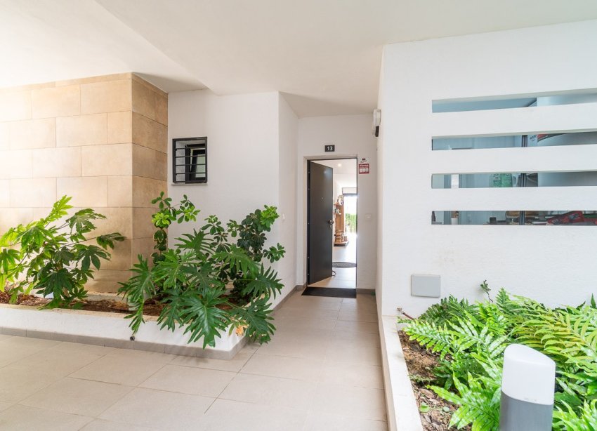Reventa - Apartamento / Dúplex - Orihuela Costa - Playa Flamenca