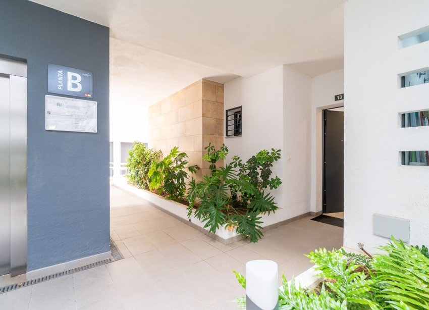 Reventa - Apartamento / Dúplex - Orihuela Costa - Playa Flamenca