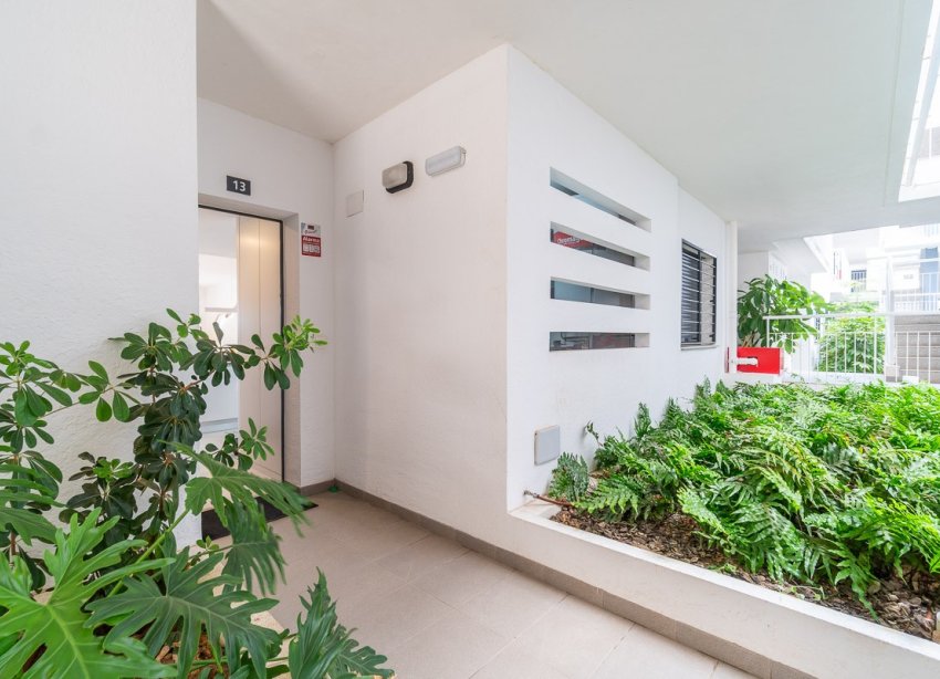 Reventa - Apartamento / Dúplex - Orihuela Costa - Playa Flamenca