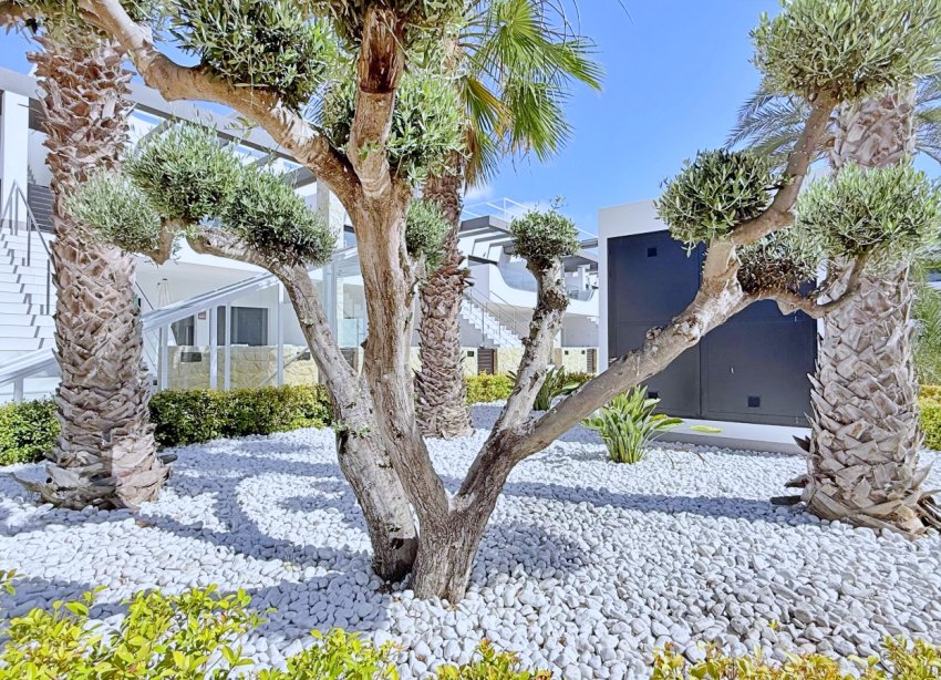 Reventa - Apartamento / Dúplex - Orihuela Costa - Punta Prima