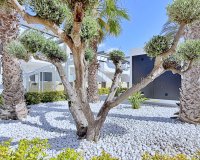 Reventa - Apartamento / Dúplex - Orihuela Costa - Punta Prima