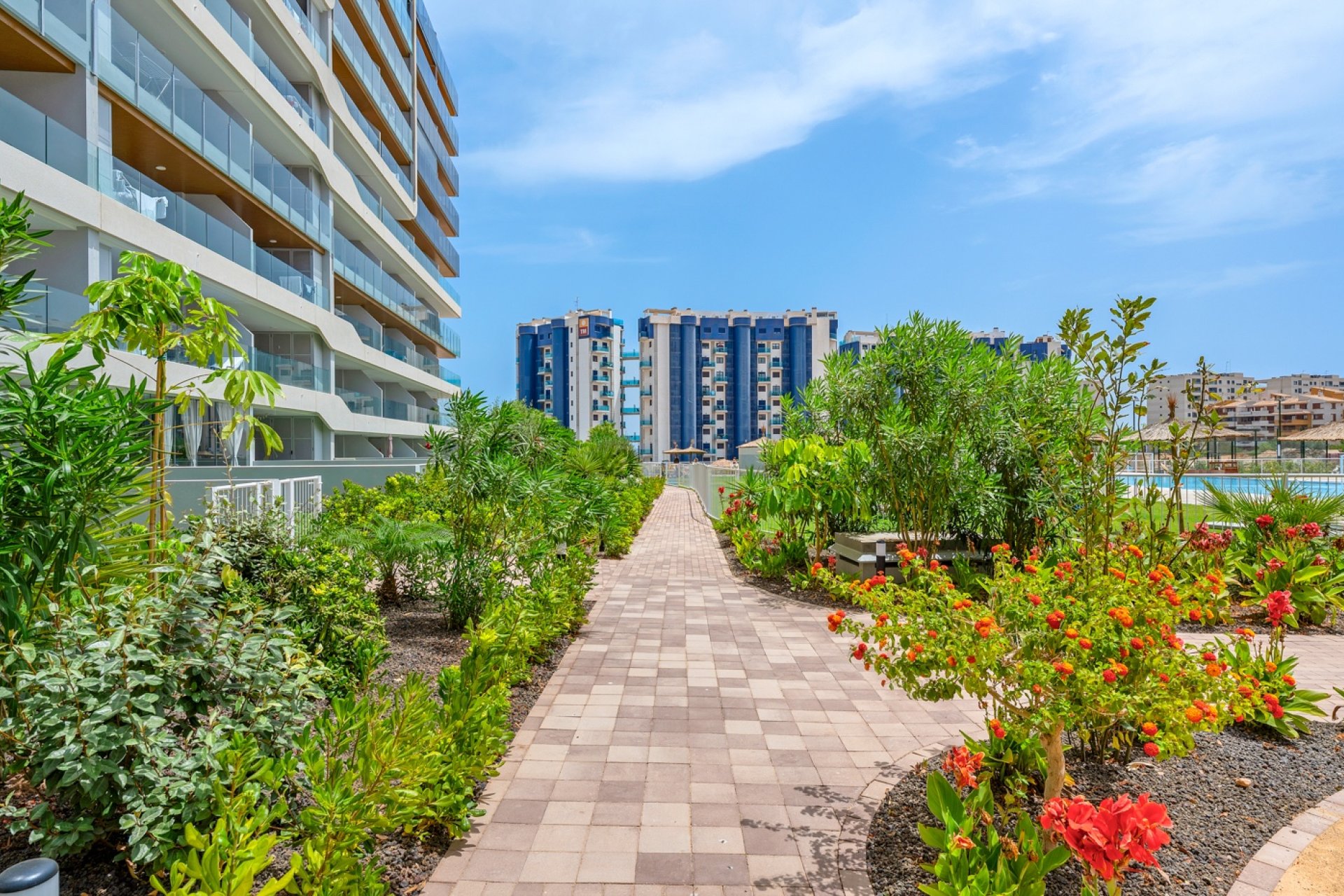 Reventa - Apartamento / Dúplex - Orihuela Costa - Punta Prima