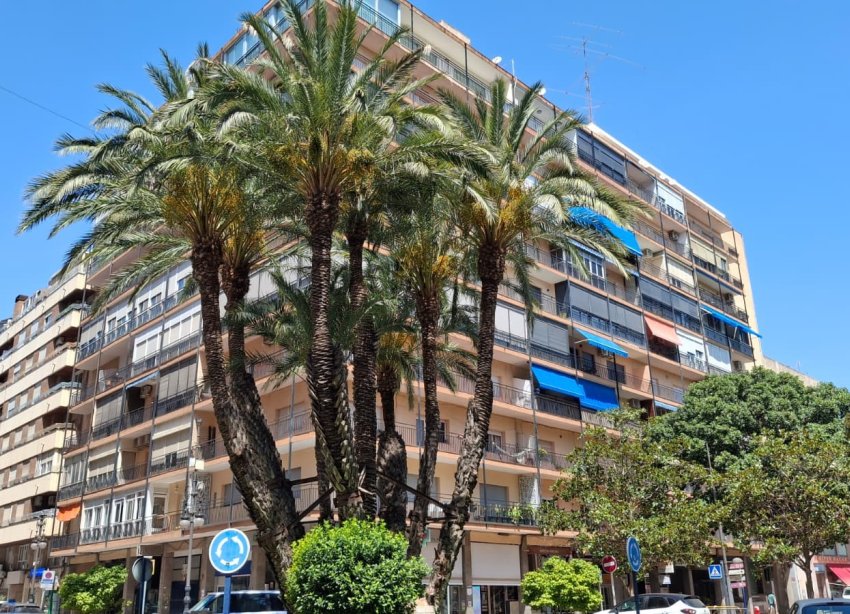 Reventa - Apartamento / Dúplex - Orihuela - Zona Centro