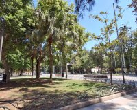 Reventa - Apartamento / Dúplex - Orihuela - Zona Centro