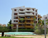 Reventa - Apartamento / Dúplex - Punta Prima