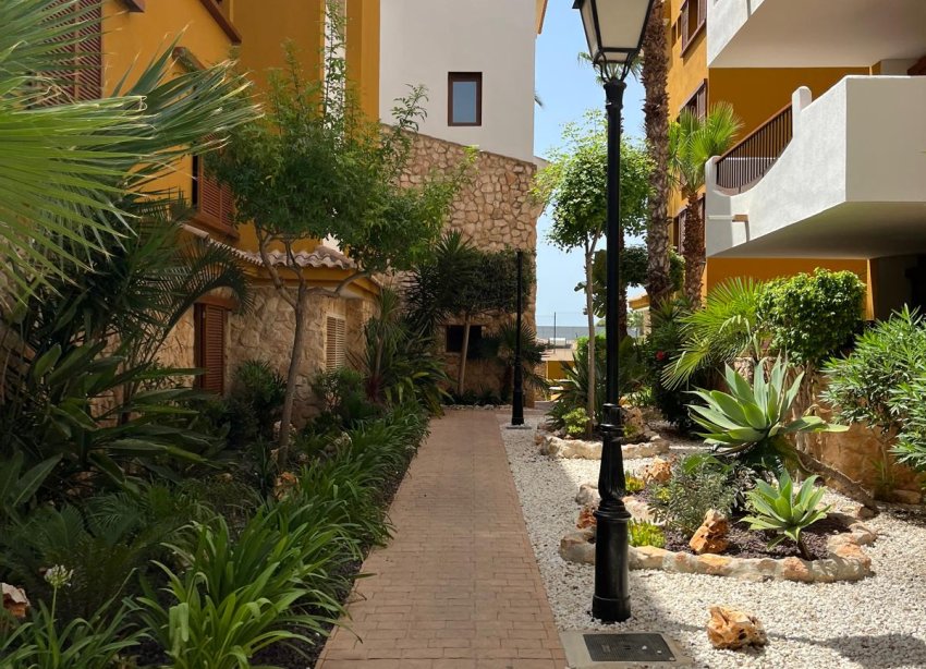 Reventa - Apartamento / Dúplex - Punta Prima