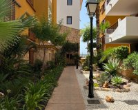 Reventa - Apartamento / Dúplex - Punta Prima