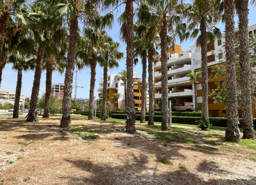 Reventa - Apartamento / Dúplex - Punta Prima