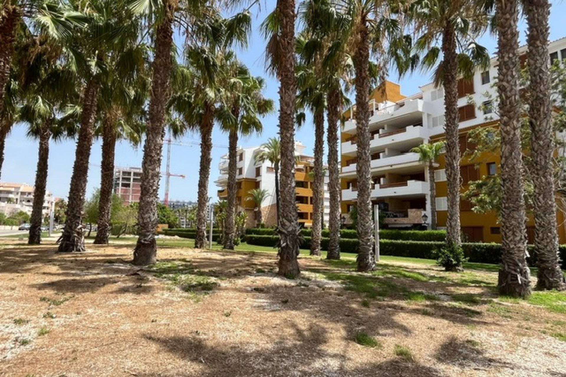 Reventa - Apartamento / Dúplex - Punta Prima