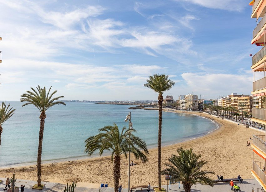 Reventa - Apartamento / Dúplex - Torrevieja - Estacion de autobuses