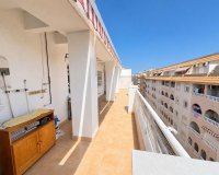 Reventa - Apartamento / Dúplex - Torrevieja - Estacion de autobuses