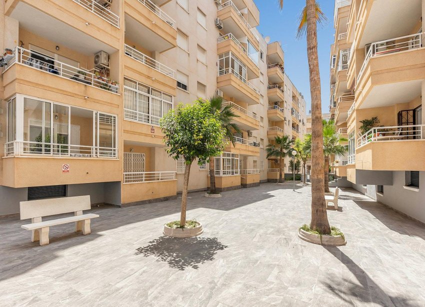 Reventa - Apartamento / Dúplex - Torrevieja - Estacion de autobuses
