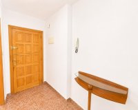 Reventa - Apartamento / Dúplex - Torrevieja - Estacion de autobuses
